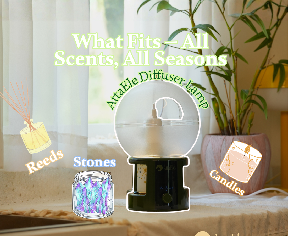 AttaEle-Fits All Your Favorites Candles